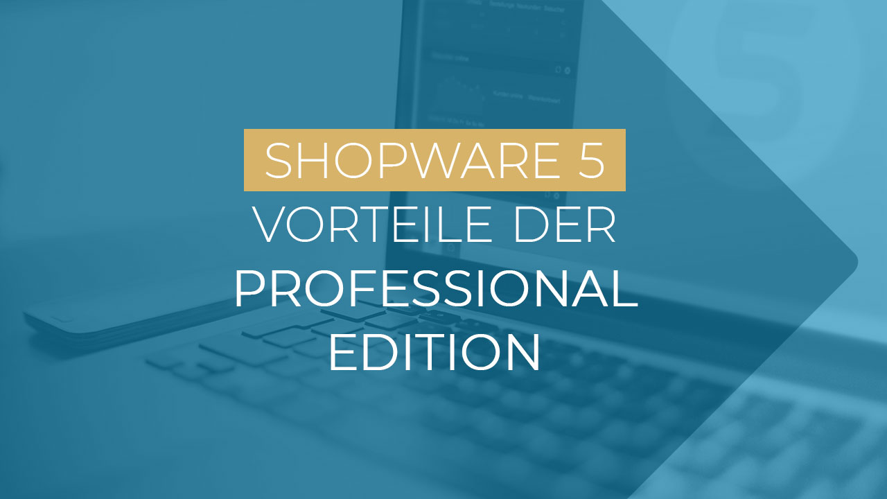 Shopware Professional Edition Vorteile