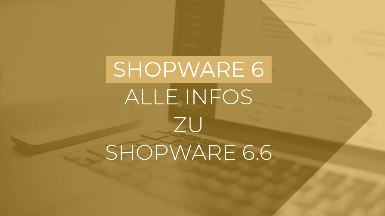 shopware 6.6